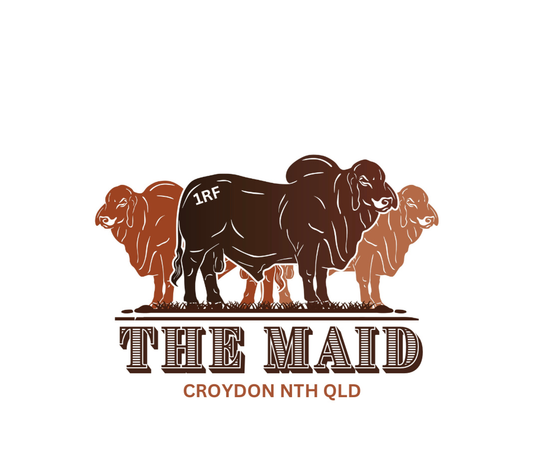 The Maid Co.